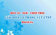 Giải Hóa 12 trang 117 Chân trời Sáng tạo